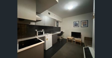 Fully Furnished Two Bedroom Apartment - Photo 4