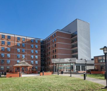 798 Richmond Street West - Photo 3