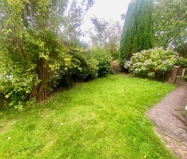 3 bedroom house to rent - Photo 1