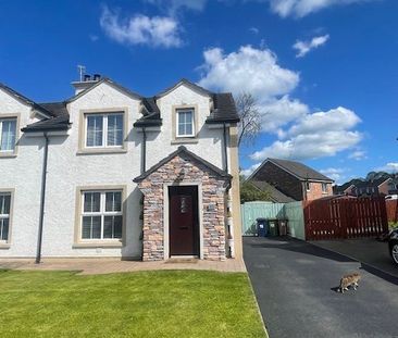 11 Birchwood Manor, Portadown, BT62 1WL - Photo 6