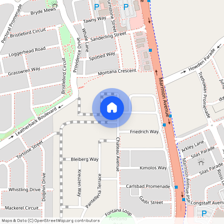 43 Chateau Avenue, 6038, Alkimos