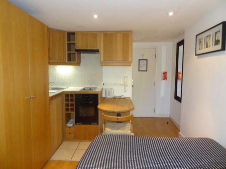 Amazing Studio Flat, Cartwright Gardens, London WC1H - Photo 5