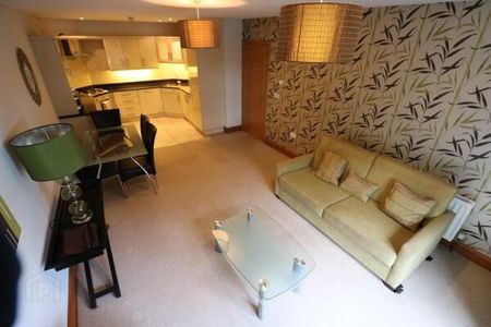 Apt 2 230 Malone Road, Belfast, BT9 5LQ - Photo 2