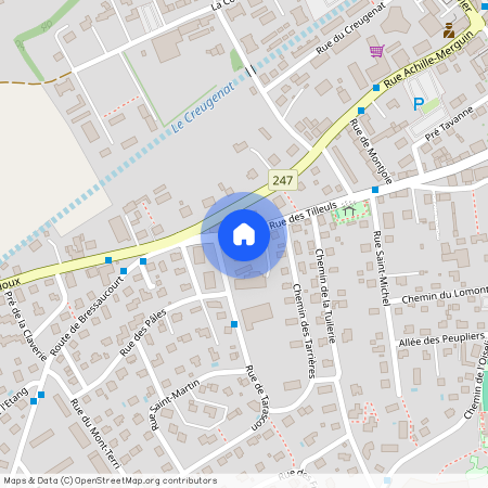2900, Porrentruy, Rue Des Tilleuls, 27