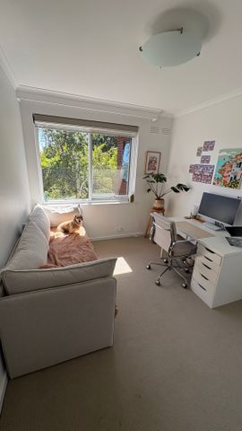 Hawthorn East - Photo 2