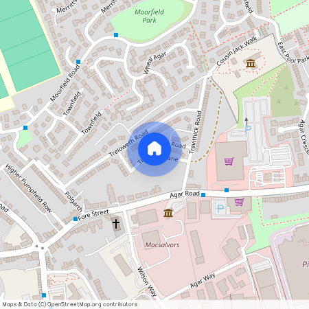 Trevethick Lane, Pool