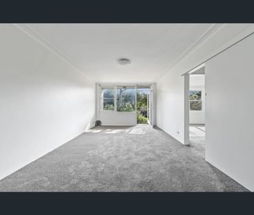 5/61 Avoca Street, Randwick, NSW 2031 - Photo 6