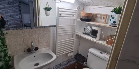 Location Appartement 1 pièce 33m² WISSOUS 91320 - Photo 3