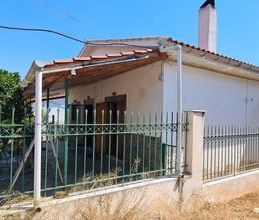 Μονοκατοικία για ενοικίαση - Μάνδρα, - Photo 4