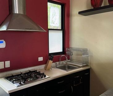 DEPARTAMENTO EN RENTA EN SAN JERONIMO - Foto 5
