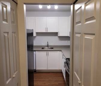 DO NOT PAY TILL MAR; 2 bedroom with storage near Lougheed Mall - Photo 3