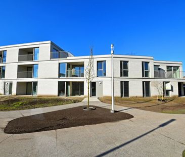 Nieuwbouwappartement in het Molenpark te huur! - Photo 2