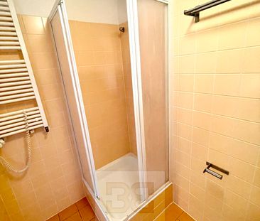 Apartment for rent, 4+kk - 3 bedrooms, 114m - Photo 6