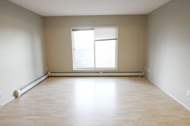 Element at Macewan - Photo 1