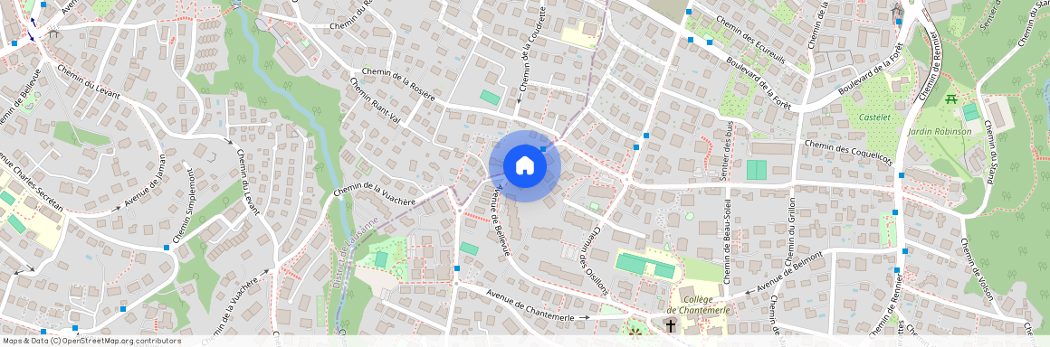 Chem. Jean-Pavillard 4, 1009 Pully, Switzerland, 1009 Pully