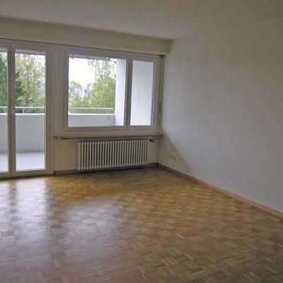 Grosszügige Wohnung an ruhiger Wohnlage - am Hönggerberg - Photo 1