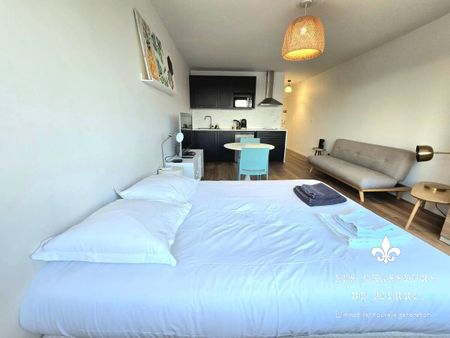 Studio 1 pièce Dardilly - Photo 3