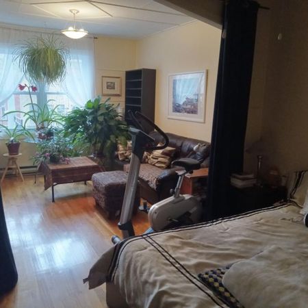 5 1/2 avec annexe La Petite-Patrie métro Beaubien - Photo 4