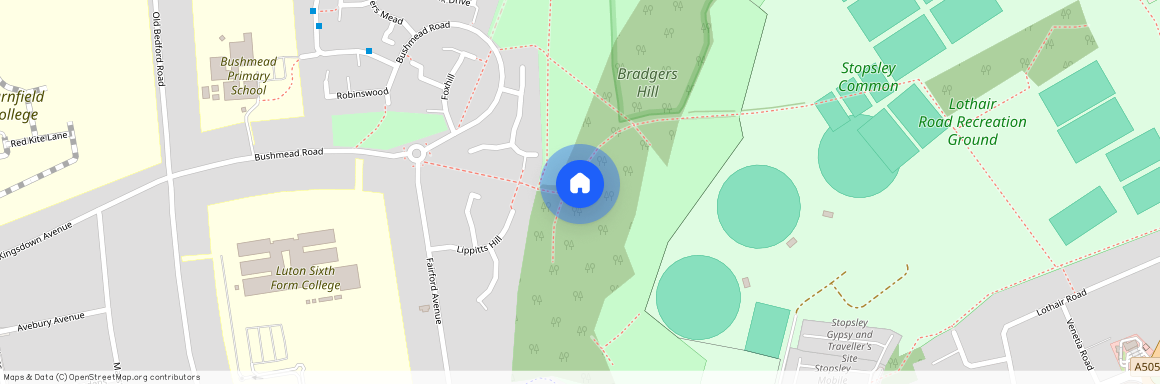 Countess Court, Earles Mead, Luton, LU2 7JE