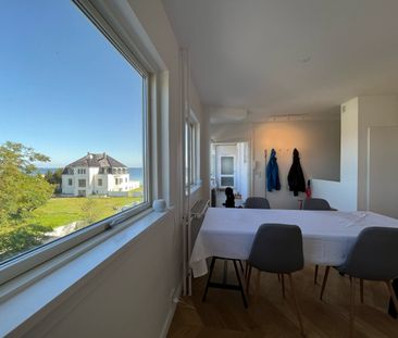 Lille Strandvej, 2900 Hellerup, Danmark (208-1902-01-001) - Photo 3