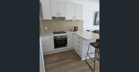 newly renovated 1 bedroom unit - Photo 5