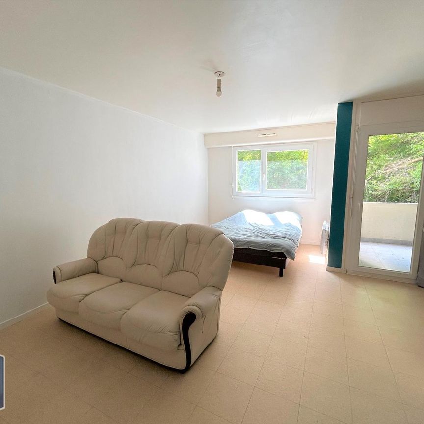 Location Appartement 1 pièce 38m² VILLEFONTAINE 38090 - Photo 1