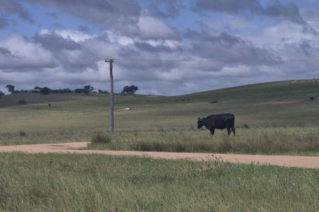 Cottage 5/116 Montavella Road - Photo 5