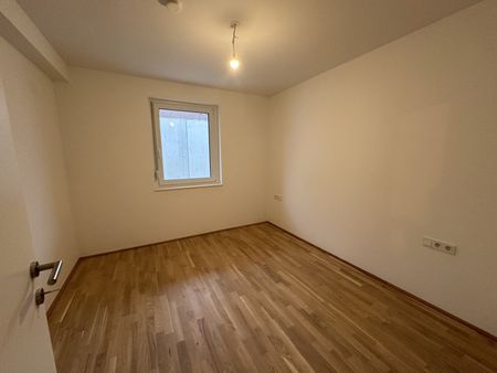 Erstbezug! 2-Zimmer mit Garten in einem Neubau in 2221 Groß-Schweinbarth - Photo 4