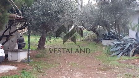 Μονοκατοικία για ενοικίαση Κέντρο (Άνοιξη) - Photo 5