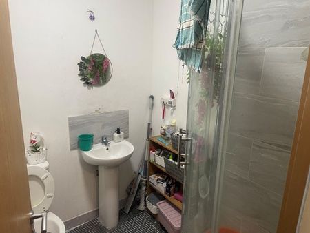 Castleview House,WA7 2DR - Photo 4