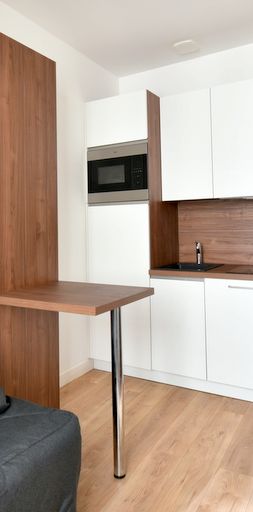 Location Appartement 1 pièce 15m² LYON 2ème - Photo 1