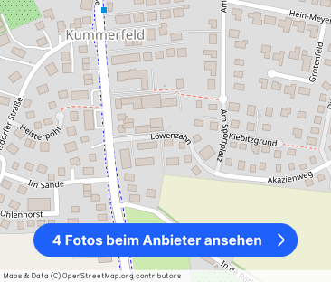 Löwenzahn, Kummerfeld - Foto 1