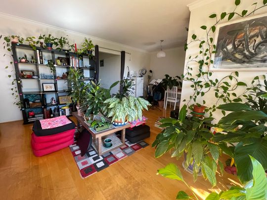 Centennial Park - Photo 1