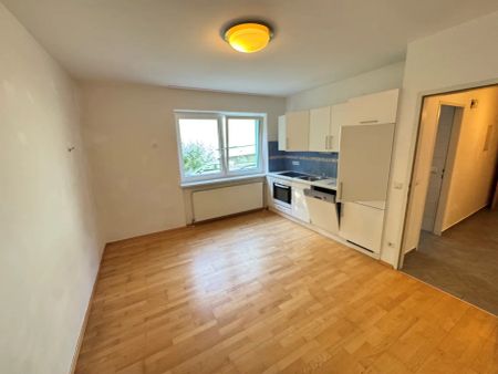 2 ZIMMERWOHNUNG MIT GARTENMITBENÜTZUNG IN LINZ-ST:MAGDALENA - Photo 5