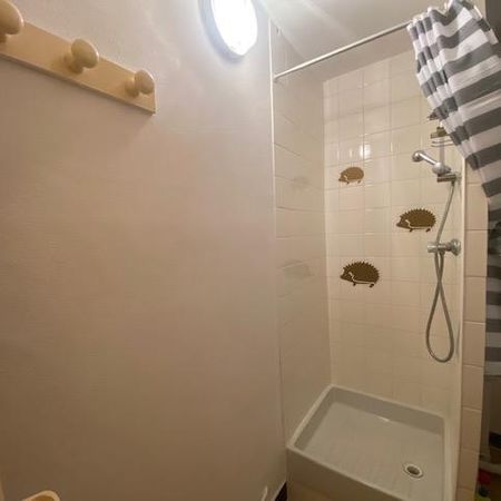 Location Appartement 1 pièce 12m² CAMBRAI 59400 - Photo 3