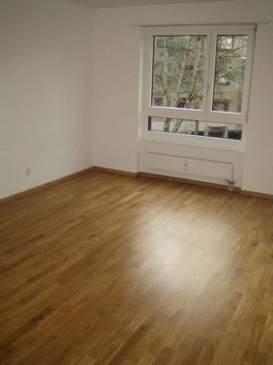 Chill-Modus On: Dein neues Zuhause in Arlesheim wartet! - Photo 1