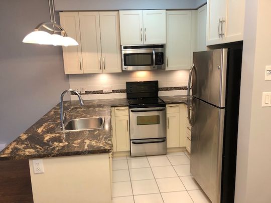 THURSTON APTS - 209 - T209 - Photo 1