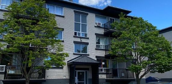 5 1/2 Limoilou Des Peupliers E. -Chauffé et eau ch.- mai ou juin - Photo 2