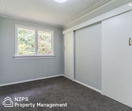 41 Montague Street, North East Valley - Photo 4