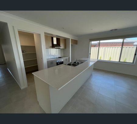 16 Nook Place, Shepparton, Vic 3630 - Photo 5