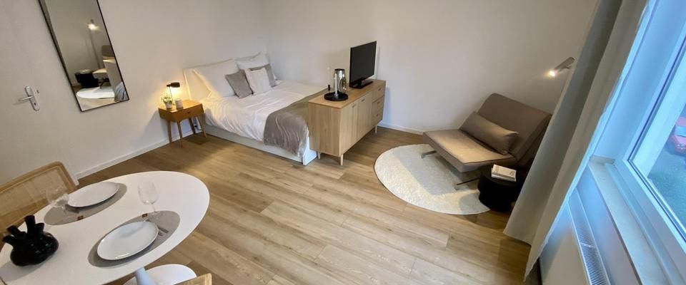 Möblierte Wohnung 1-Zimmer / sehr gute Anbindung - Foto 1