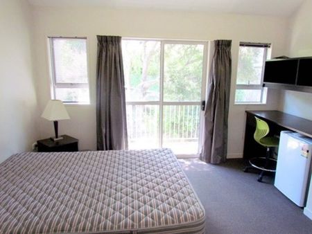 Room 10D/73 Buccleugh Street, North East Valley, Dunedin City - Photo 5