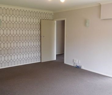 Tidy Sunny Hillcrest Family Home - Photo 3