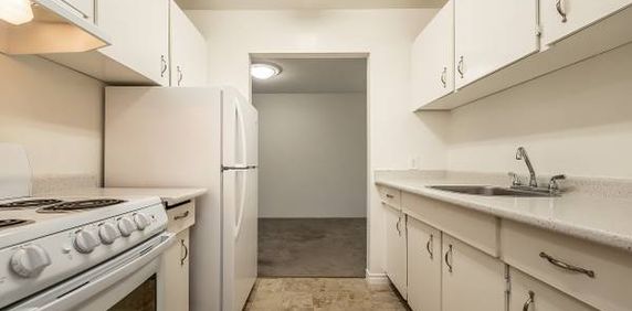 Seaport Apartments - 2 Bedroom - Available Now - Photo 2