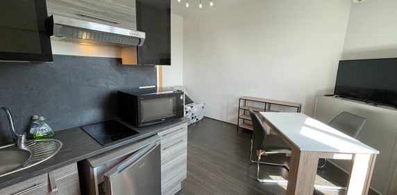 Location Appartement 1 pièce 18m² - Photo 2