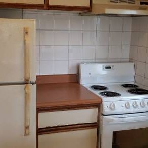 One big unit w/ 1ba & 1br on W12/Oak $1850/month - Photo 3