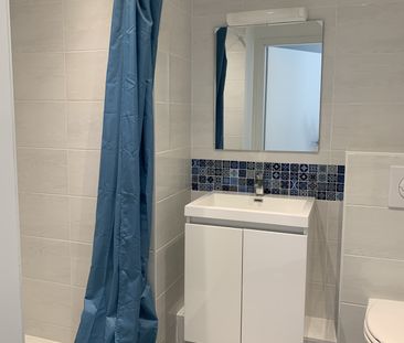 Location Appartement 1 pièce 19m² SARREGUEMINES 57200 - Photo 6