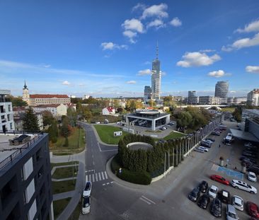 CENTRUM miasta Apartament Podpromie 96m2 - Photo 6