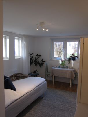 Södra Parkgatan, Huskvarna - Foto 1