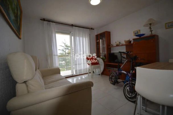 Piso en alquiler en Calle del Padre Ignacio Ellacuria - Photo 1